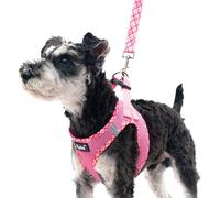 PUPTECK Step-in Dog Harness Small Dog No Pull Vest and Lead Set for Puppy Cats Outdoor Walking, Pink L