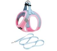 PUPTECK Step-in Dog Harness Small Dog No Pull Vest and Lead Set for Puppy Cats Outdoor Walking, Pink&Blue M