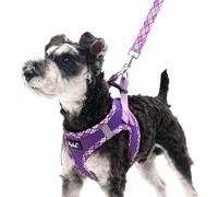 PUPTECK Step-in Dog Harness Small Dog No Pull Vest and Lead Set for Puppy Cats Outdoor Walking, Purple L