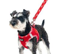 PUPTECK Step-in Dog Harness Small Dog No Pull Vest and Lead Set for Puppy Cats Outdoor Walking, Red M