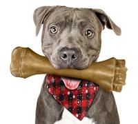 PUPTILY Dog Toys for Aggressive Chewers, Indestructible Bones for Aggressive Chewers, Tough Dog Chew Toy for Heavy Duty Dogs, Teething Toys with Durable Nylon for Large/Medium Breed Puppies