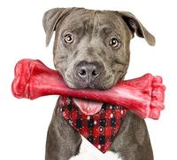 PUPTILY Dog Toys for Aggressive Chewers, Indestructible Dog Bones for Aggressive Chewers, Tough Chew Toy for Heavy Duty Dogs, Big Teething Toys with Durable Nylon for Large/Medium Breed Puppies