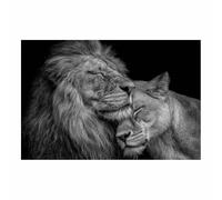 PUQAAEO Art Canvas Painting Posters and Prints Animal Canvas Wall Art The agile lions for Wall Decor and Home decorations Office Decor(black and white199)-80x120cm Unframed