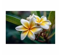 PUQAAEO Canvas Wall Art Brilliant flowers Decor Paintings Print on Canvas Pictures for Hallway Wall Art Prints for Bedroom Bathroom Living Room Decor(Multicolor29)-40x60cm Unframed