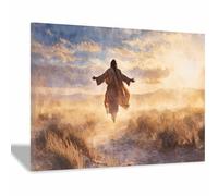 PUQAAEO Christian Canvas Wall Art Jesus and Light Canvas painting，Living room mural，Christian murals，Suitable for living rooms, bedrooms, and churches(golden11)-30x45cm Framed