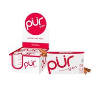 PUR Gum Cinnamon Aspartame Free Nine Piece Sleeve (Pack of 12)