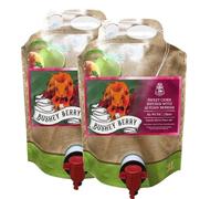 Purbeck Cider Company Bushey Berry Cider Pouch | 2 x 3 Litres | English Sweet Cider 4% ABV | Dorset Fruit Cider | Apple & Berry Flavour