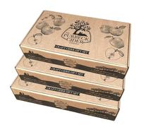 Purbeck Craft Cider Gift Set | 6 x 330ml Cans with Half Pint Glass | Pack of 3 Gift Boxes | Dorset Cider Selection | 5%-6.8% ABV