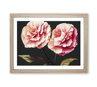 Pure Carnation Flowers BLK Framed Print | A4 Oak Framed Wall Art | Ready to Hang | Modern Floral Picture | Living Room Bedroom Lounge Office