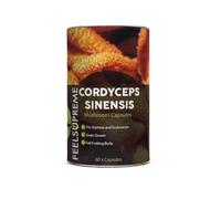 Pure Cordyceps Sinensis 500mg Capsules 10:1 Extract - Full Fruiting Body Mushroom Vegan Supplement - High Strength 5000mg Equivalent - Energy & Immune Support - 60 Capsules UK Made