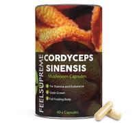 Pure Cordyceps Sinensis 500mg Capsules 10:1 Extract - Full Fruiting Body Mushroom Vegan Supplement - High Strength 5000mg Equivalent - Energy & Immune Support - 60 Capsules UK Made