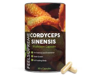 Pure Cordyceps Sinensis 500mg Capsules 10:1 Extract - Full Fruiting Body Mushroom Vegan Supplement - High Strength 5000mg Equivalent - Energy & Immune Support - 60 Capsules UK Made