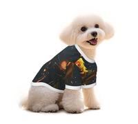 Pure Cotton T-Shirt for Pets - Soft Breathable Dog & Cat Shirt | All-Over Print Short Sleeve Tee for Small Dogs Puppy Boy Girl | Summer Cooling Pet Clothing Dim streets with golden roses M
