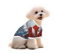 Pure Cotton T-Shirt for Pets - Soft Breathable Dog & Cat Shirt | All-Over Print Short Sleeve Tee for Small Dogs Puppy Boy Girl | Summer Cooling Pet Clothing The mage wearing a red hood S