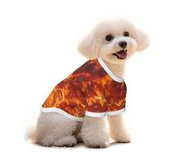 Pure Cotton T-Shirt for Pets - Soft Breathable Dog & Cat Shirt | All-Over Print Short Sleeve Tee for Small Dogs Puppy Boy Girl | Summer Cooling Pet Clothing The sky at the end of the world S