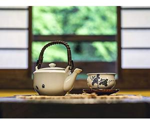 Pure Land Buddhism and Zen Buddhism