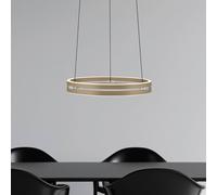 PURE LED pendant light E-Loop, bronze, Ø 50 cm, aluminium CCT