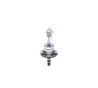 BOSCH Bulb Pure Light WS 1 987 302 088 VW,AUDI,MERCEDES-BENZ,Golf VII Schrägheck (5G1, BQ1, BE1, BE2),GOLF VI (5K1),TIGUAN (5N_)