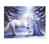 Spirit of Equinox AS_36926 Canvas Plaque | Pure Magic by Anne Stokes | H19 W25cm x D1.4cm | Pack of 1, multicolor