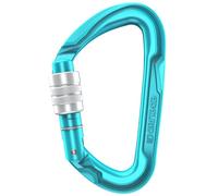 Edelrid Pure Screw - Carabiner Icemint One Size