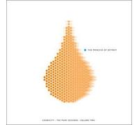 Pure Sessions, Vol. 2: The Princess Of Detroit