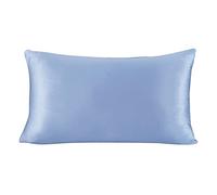 Pure Silk Pillowcase 1Piece Pillowcase With Hidden Zipper Pure Color Good For Healthy Standard Queen King(Light Blue,40x60cm)