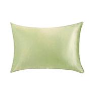 Pure Silk Pillowcase Mulberry Silk Pillowcase 1 Pc Cover 51cm X 66cm(Light friut green)