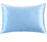 Pure Silk Pillowcase Nature Mulberry Silk Pillowcase Zipper Pillowcases Pillow Case For Healthy Multicolor(Light blue,51x91 cm)