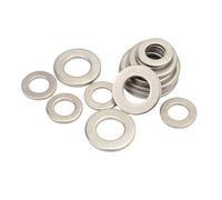 Pure Titanium Flat Plain Gasket for M2 M2.5 M3 M4 M5 M6 M8 M10 M12 M14 M16 M18 M20 M22 M24 Screw Bolt 1/10PCS(10pcs M2)