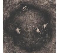 PURE WRATH - BLEAK DAYS AHEAD