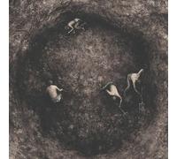 PURE WRATH - BLEAK DAYS AHEAD