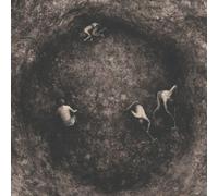 PURE WRATH - BLEAK DAYS AHEAD