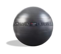 Pure2Improve - Gym Ball