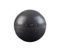 Pure2Improve Gym Ball 65cm in Black | Size: XL Pure2Improve Black XL