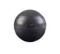 Pure2Improve Gym Ball 75cm in Black | Size: Large Pure2Improve Black L