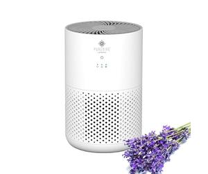 PureAire Air Purifier For Bedroom Home Office with HEPA Filter PAH1 3-Speed Fan For Sleep Allergies Dust Pet Dander Pollen Odour Smoke Allergens Quiet Desktop Carbon Filter Low Power Consumption 5W