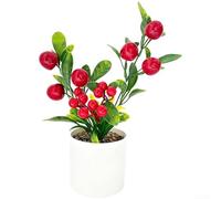 PureBowlic Artificial Fruit Bonsai in Bubble Round Stone Vase Realistic Faux Fruit Arrangement with Lifelike Orange Lemon Pear and Pomegranate Decorative Table Plant for Living Room(Red Fruit)