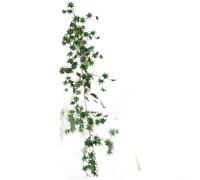 PureBowlic Artificial Maple Vine 170cm Realistic Chicken Leaf Red | Lifelike chicken foot maple leaves, clear vein details, natural red , 170cm length, home decor(Green)