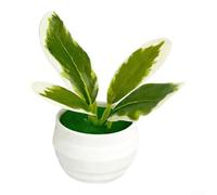 PureBowlic Realistic 4-Leaf Artificial Potted Plant, Soft Rubber Fake Foliage For Office Desk Decor, Wedding Centerpiece And Display, Handcrafted For Mini Greenery For Natural Look, 9Cm Height