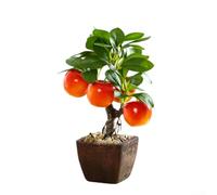 PureBowlic Realistic Artificial Fruit Tree Bonsai: Miniature Plastic Potted Plant With Red Fruit, Lemon Or Pomegranate, No Fake Flower Pot For Office Desk, Living Room Tabletop Centerpiece Decor(C)