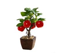 PureBowlic Realistic Artificial Fruit Tree Bonsai: Miniature Plastic Potted Plant With Red Fruit, Lemon Or Pomegranate, No Fake Flower Pot For Office Desk, Living Room Tabletop Centerpiece Decor(E)