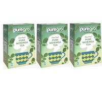 Puregro Pure Moringa Tea 40g (20 Tea Bags) | PACK OF 3 | 100% Pure Natural | Herbal Tea | CAFFEINE FREE.