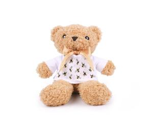 Purely Home Bee Teddy Bear - Bumblebee Gifts Plush Teddy with T-Shirt