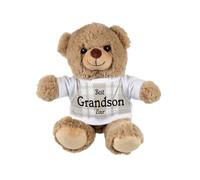 Purely Home Best Grandson Ever Teddy Bear - Small Plush Bear Gift - Light Brown Stuffed Animal with Beige Tartan T-Shirt