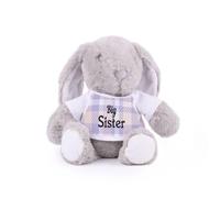 Purely Home Big Sister Teddy Bunny - Plush Teddy Sister Gifts with T-Shirt