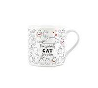 Purely Home Cat Love Anniversary Mug - There's Probably Cat Hair in Here - Bone China White Coffee/Tea Present Romantic Gift
