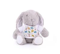 Purely Home Colourful Dinosaurs Teddy Bunny - Plush Teddy Gift with T-Shirt