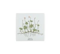 Purely Home Floral Botanicals Oxalis Glass Hot Pot Stand - Heat Resistant Non-Slip Trivet