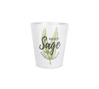 Purely Home Green Label Herbs Sage Plant Pot - Small Ceramic Plant Pot Gift