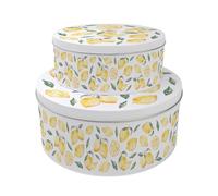 Purely Home Lemons Set of 2 Cake Tins Gift - Fruity Nesting Round Large & Medium Metal Storage Containers for Cakes and Baking